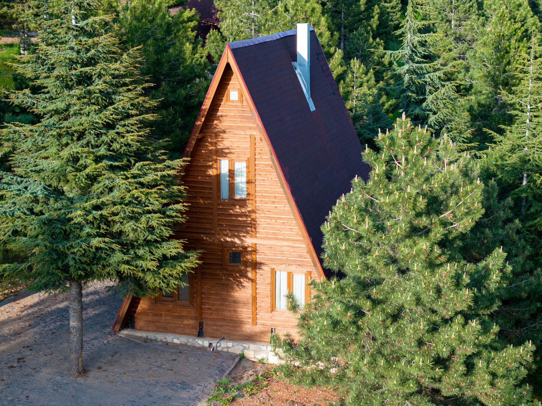 A timber A-frame cabin surrounded by evergreen trees; inspiration photograph